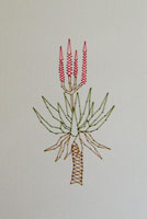 Aloe Stitched Card