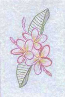 Frangipani Stitched Card