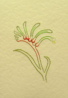Kangaroo Paw Australian Wildflower Stitched Card