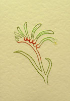 Kangaroo Paw Australian Wildflower Stitched Card