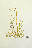 Meerkats Stitched Card