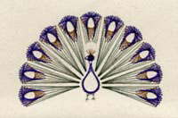 Peacock Stitched Card