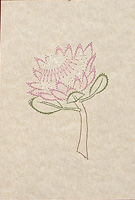 Protea Stitched Card