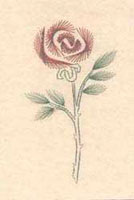 Rose Stitched Card
