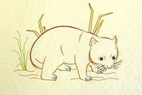 Wombat Stitched Card